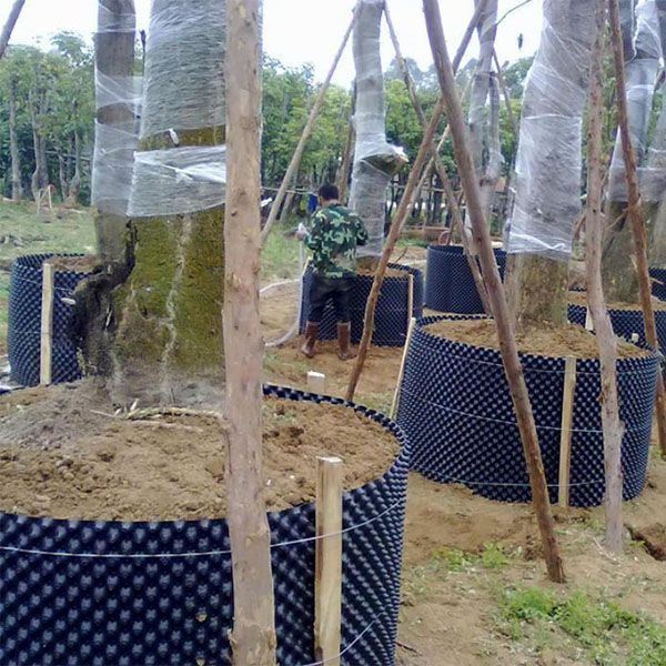 �ظ���ʹ�ð���