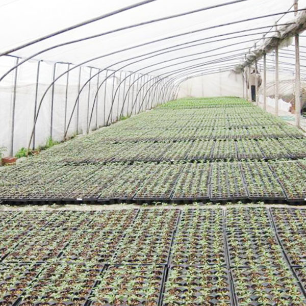 Ѩ��ʹ�ð���