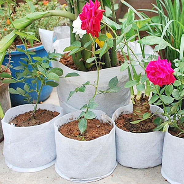 ��ֲ��ʹ�ð���