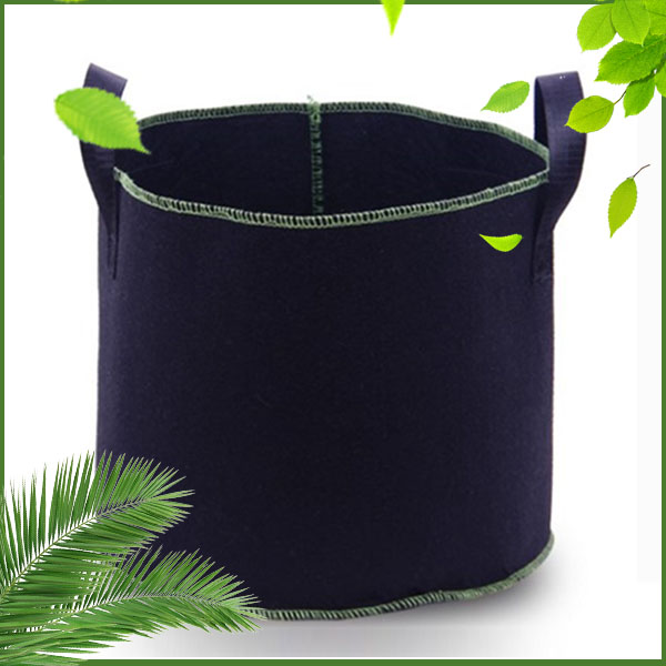 ��ֲ������