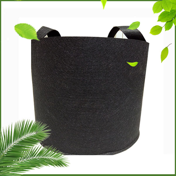 �޷Ĳ���ֲ��